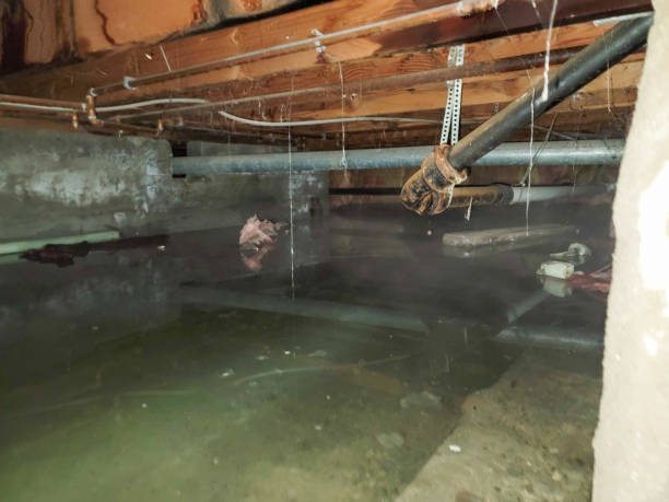 Best Water damage cleanup near me  in Cloquet, MN