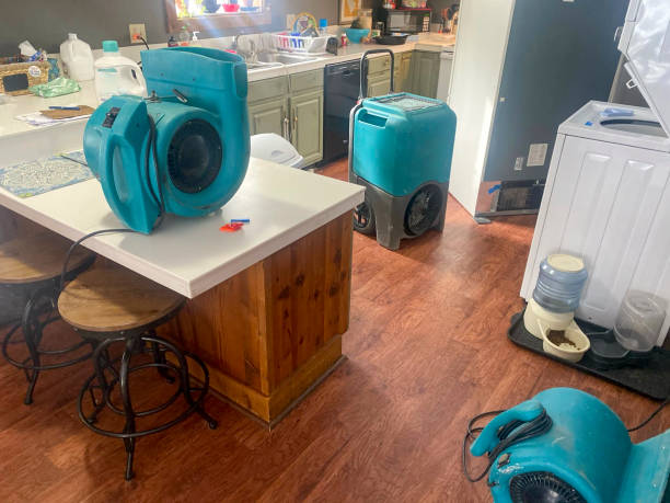 Water damage restoration mold remediation in Cloquet, MN