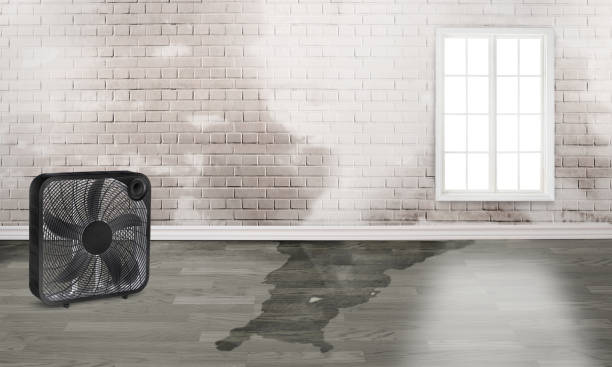 Best Sewage cleanup and water damage restoration  in Cloquet, MN