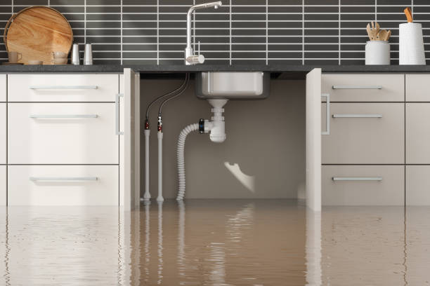 Best Professional water damage repair  in Cloquet, MN
